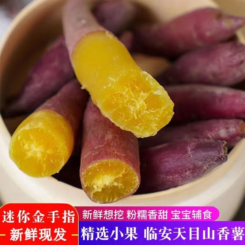 天目山小香薯新鲜黄心板栗薯正宗金手指红薯小香薯皮薄板栗红薯