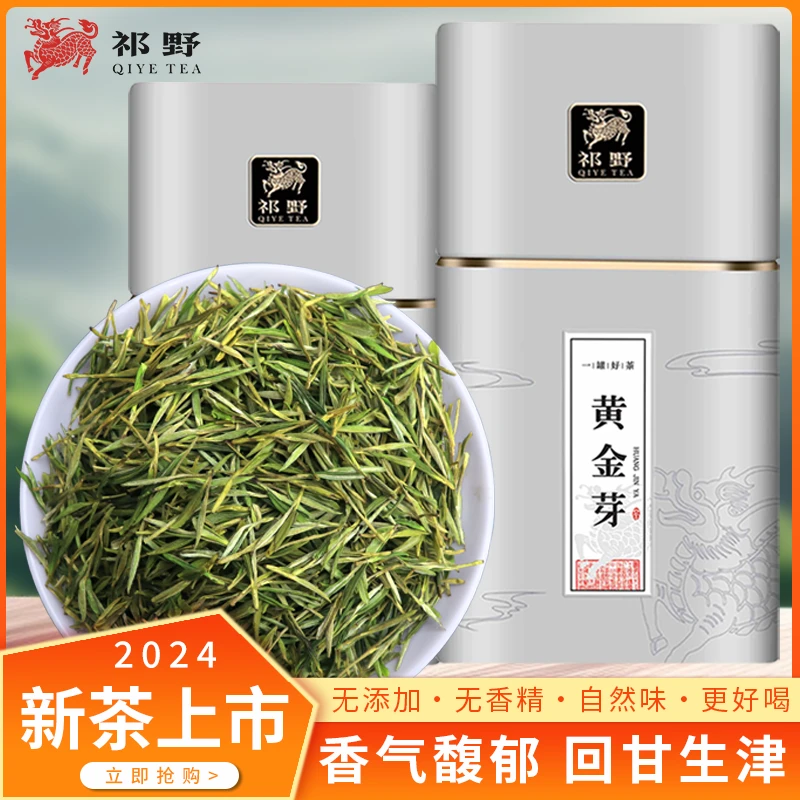 祁野黄金芽绿茶优选春茶采摘送礼绿茶高山原产送礼茶叶罐装春季