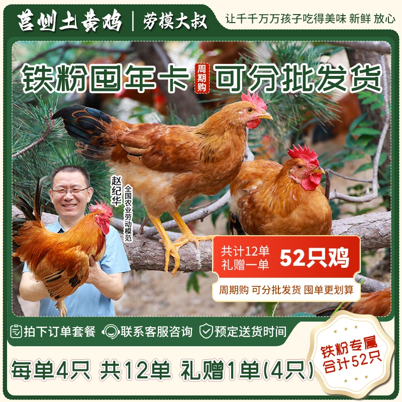 【童子鸡年卡】一单4只，共计13单（可分批分地址发货）铁粉专属
