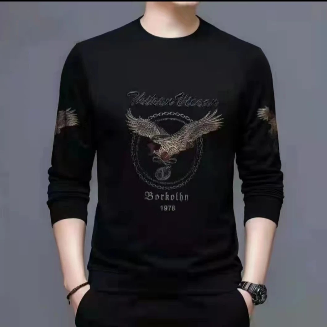 （春秋款）老鹰欧货男士休闲百搭套头长袖时尚圆领秋季男上衣ol潮流