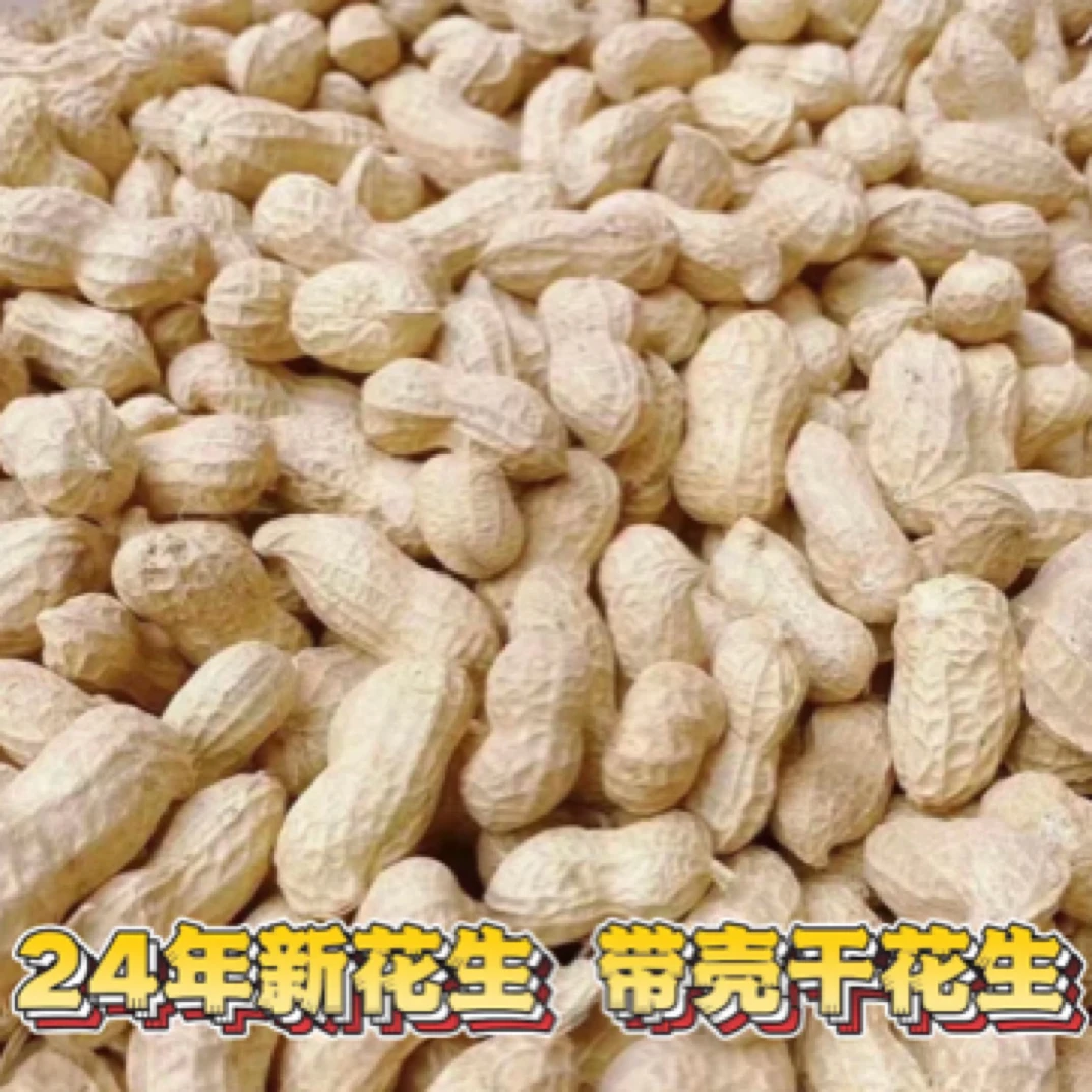 24年新花生 带皮干花生