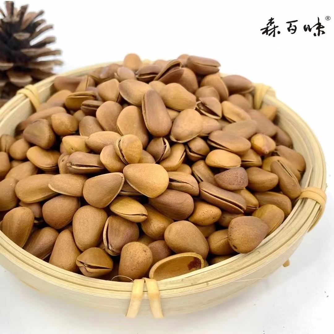 senbaiwei/森百味东北松子 油开松子850大颗粒 红松树松子250g/罐