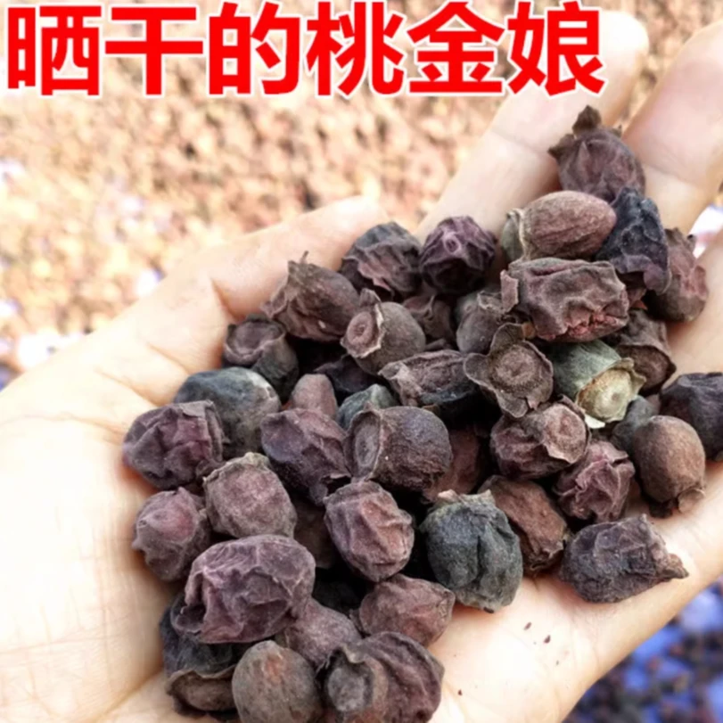 山捻子桃金娘果稔子念子干货