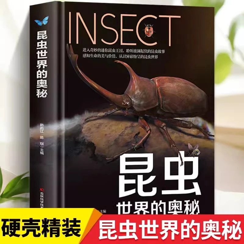 （微瑕）昆虫世界的奥秘 正版精装硬壳昆虫百科知识图书昆虫