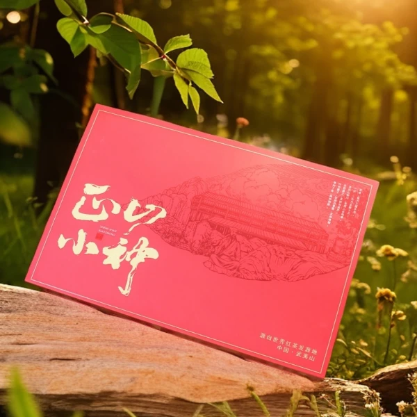 正山小种 红茶 新茶 武夷桐木关茶叶花果香型茶叶小包装盒装