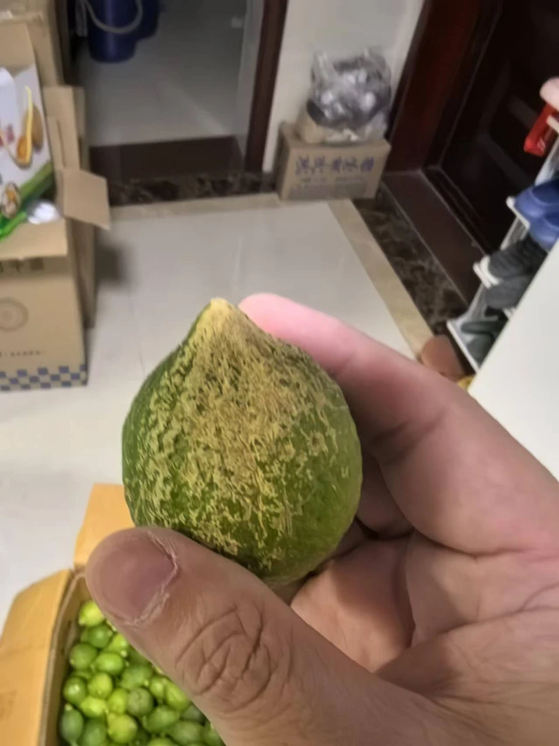 【次二级】青黄果,花皮果广东正宗无籽香水柠檬