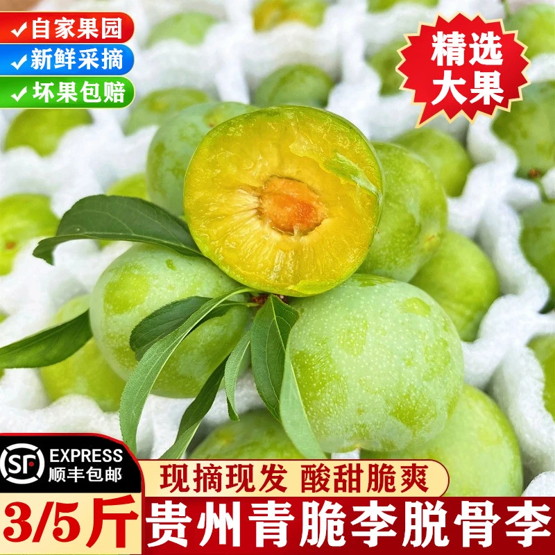 现摘现发贵州青脆李脱骨李5斤大果当季新鲜水果李子孕妇整箱顺丰