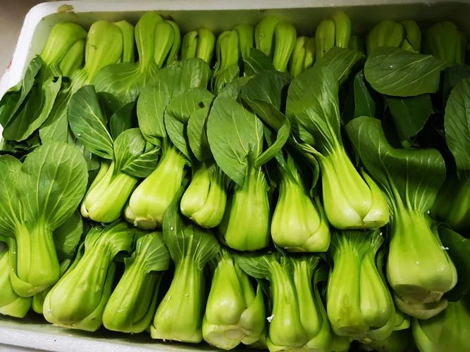 上海青（油菜大约450g—500g）