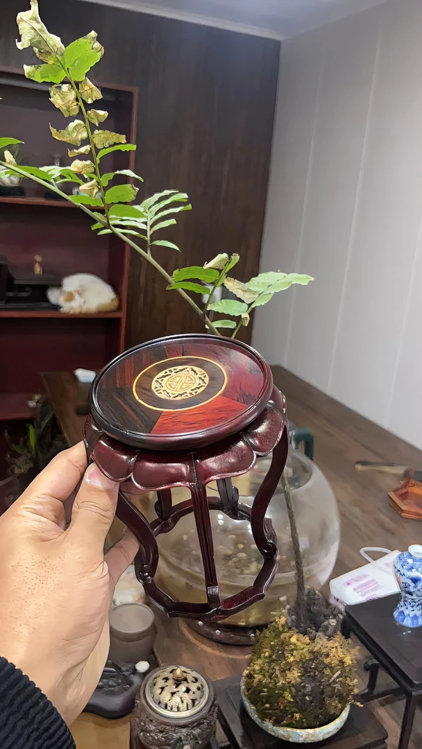 红酸枝【12.5*17】海棠几茶壶盆景底座独板榫卯结构大号花架40号
