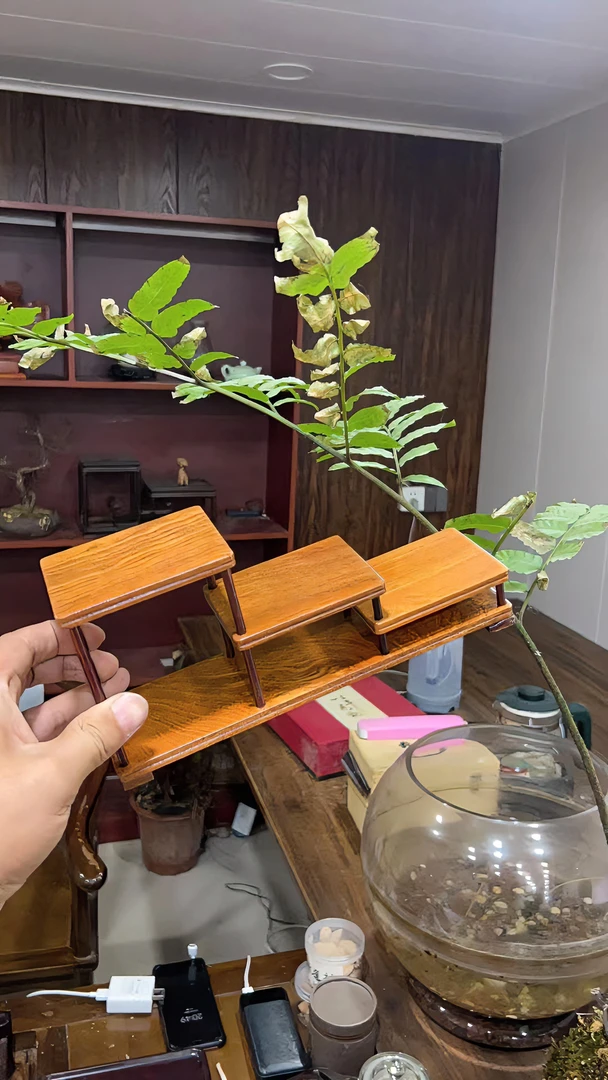 刺猬紫檀【23*6*10】三连台盆景摆台博古架55号