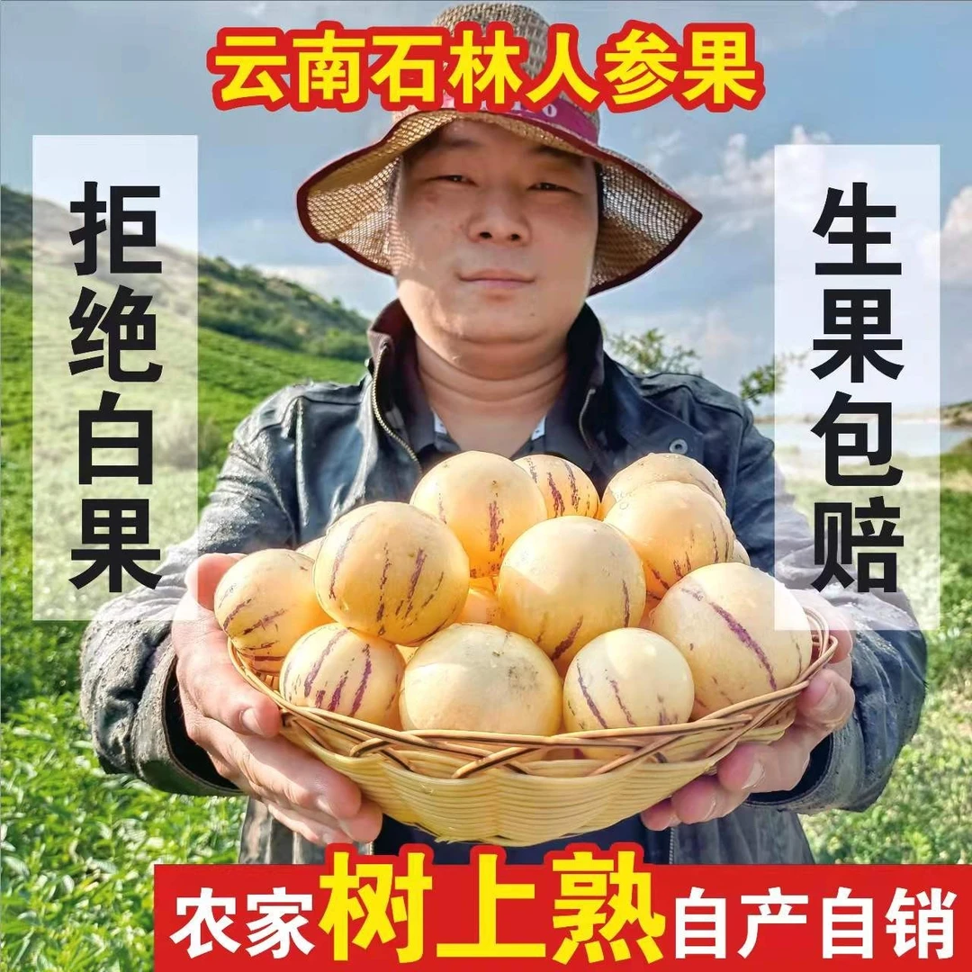 【航农自营】云南清甜人参果黄肉圆果黄果树上熟人参果新鲜3/5/9斤
