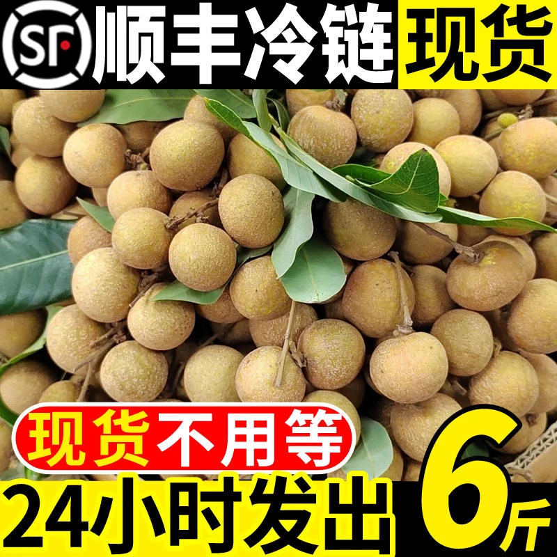 【顺丰】广东增城石硖龙眼