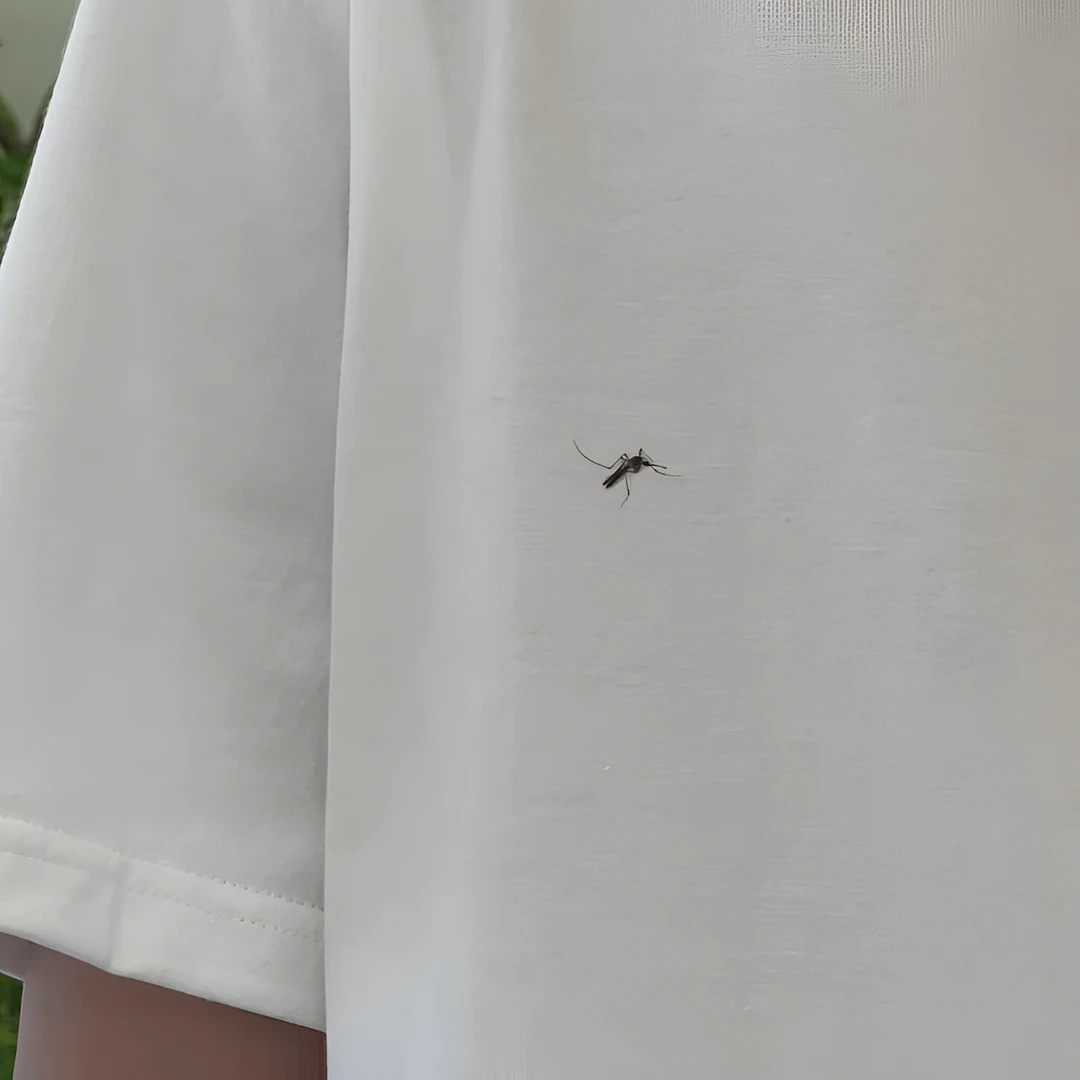 一只蚊子港风美式复古纯棉T恤男女简约蚊子印花欧美潮牌百搭潮流