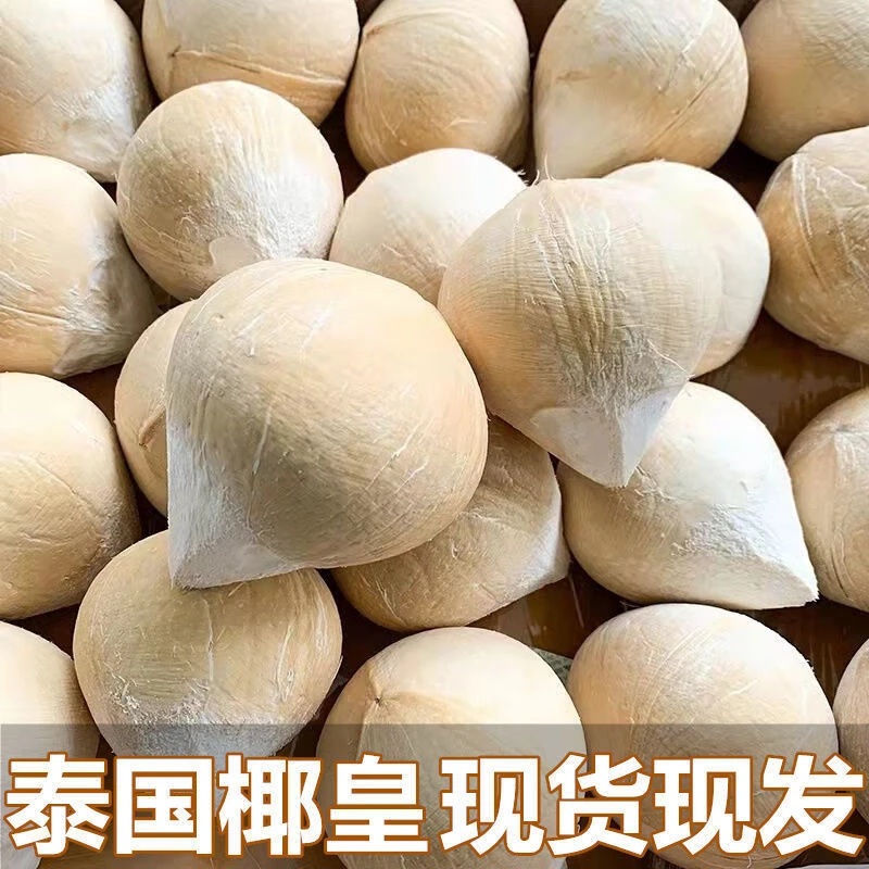 【送2颗】泰国进口椰皇正宗奶香椰子新鲜水果单果约500g左右包邮