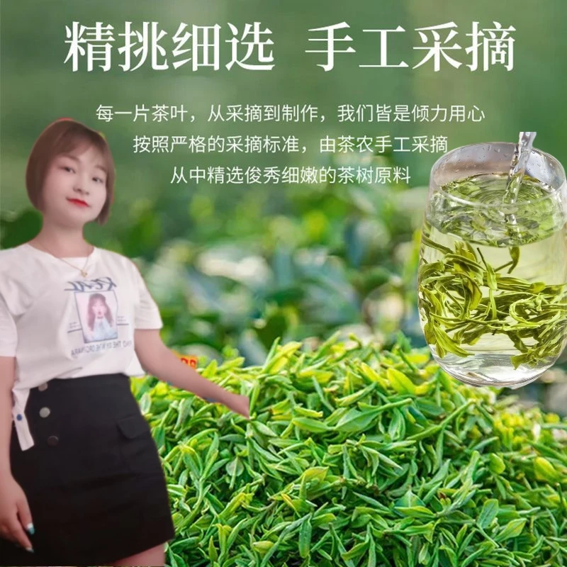2025正宗贵州绿茶浓香型新茶明前特级贵州毛峰高山云雾绿茶袋装