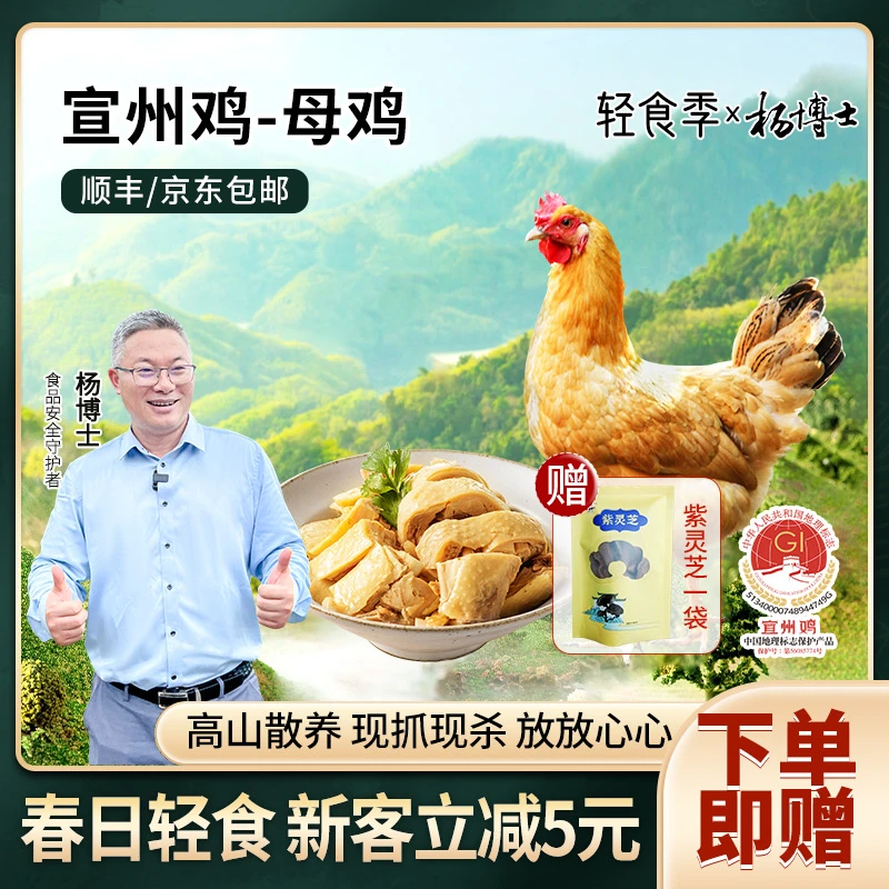 【杨博士150宣州母鸡】皖南高山散养土鸡宣州鸡母鸡清蒸肉质鲜嫩