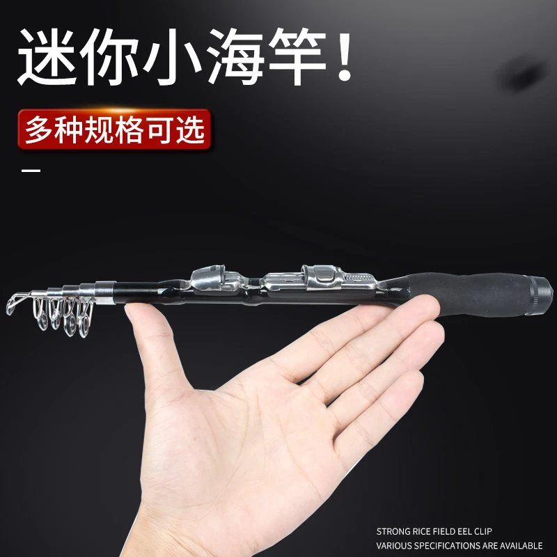 鱼竿迷你海竿小海竿超短便携甩竿单竿冰钓竿金属轮海杆抛竿路滑竿
