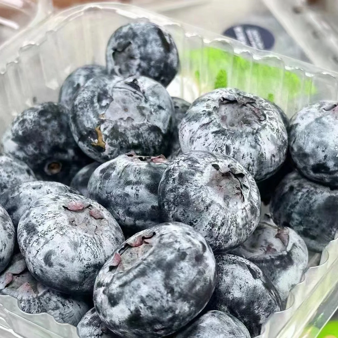 L25限定高海拔蓝莓纯甜花香125g/盒【顺丰快递】