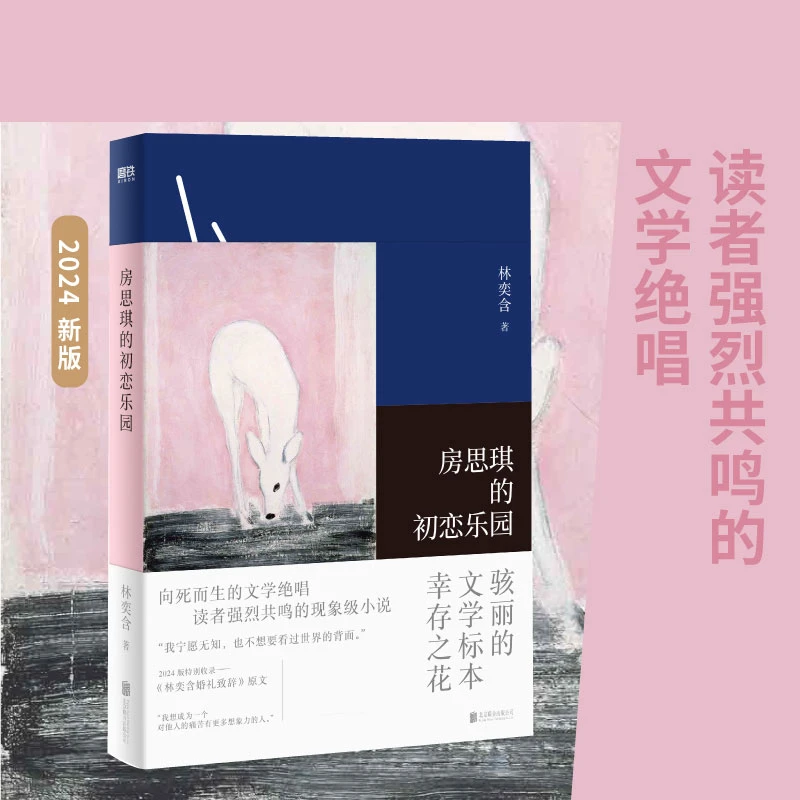 房思琪的初恋乐园 林奕含 房思琪的书 作家现当代文学小说散文