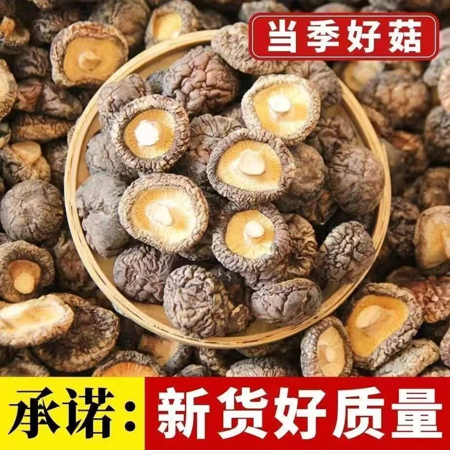秦岭天然农家香菇500g特新货级冬菇珍珠菇伏牛山散装花菇干蘑菇