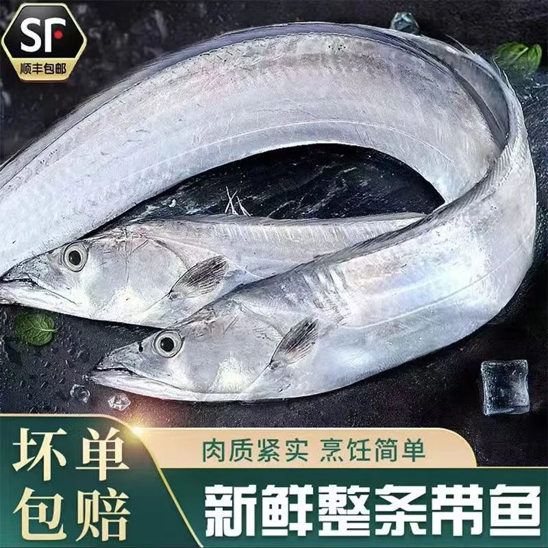 【全疆包邮】舟山带鱼新鲜冷冻礼盒装3.5公斤