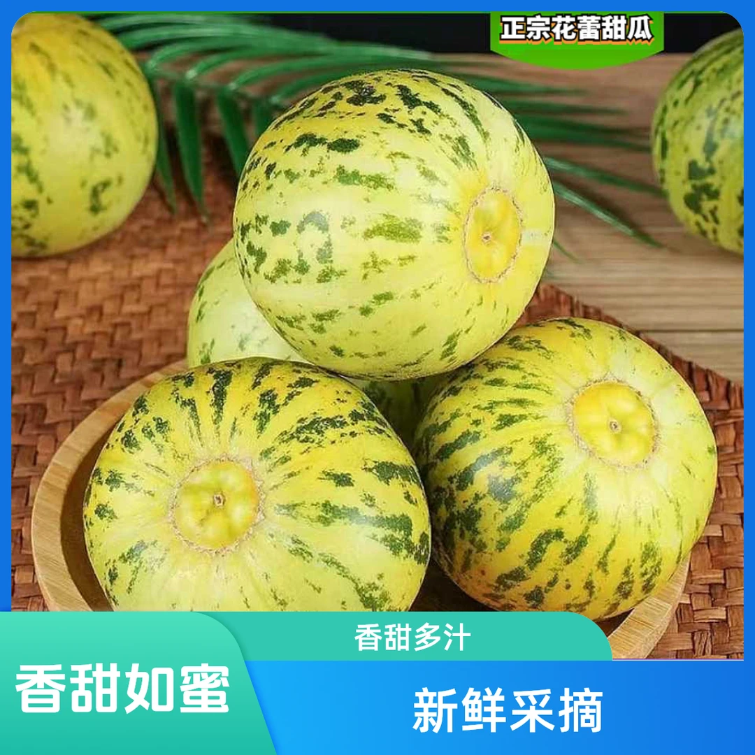 【顺丰包邮】山东花美人甜瓜脆甜多汁脆嫩薄皮甜香瓜新鲜采摘应季