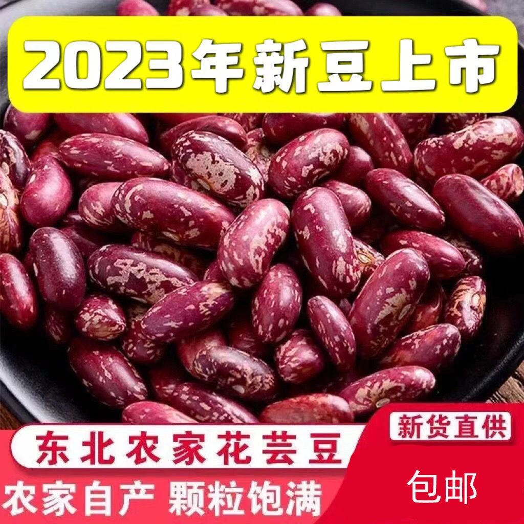 新豆大饭豆红四季豆红芸豆紫花芸豆东北紫花芸豆花豆营养豆米
