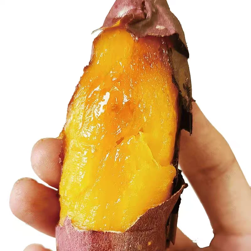 农家自种沙地榴莲蜜薯让你吃个不一样的感觉