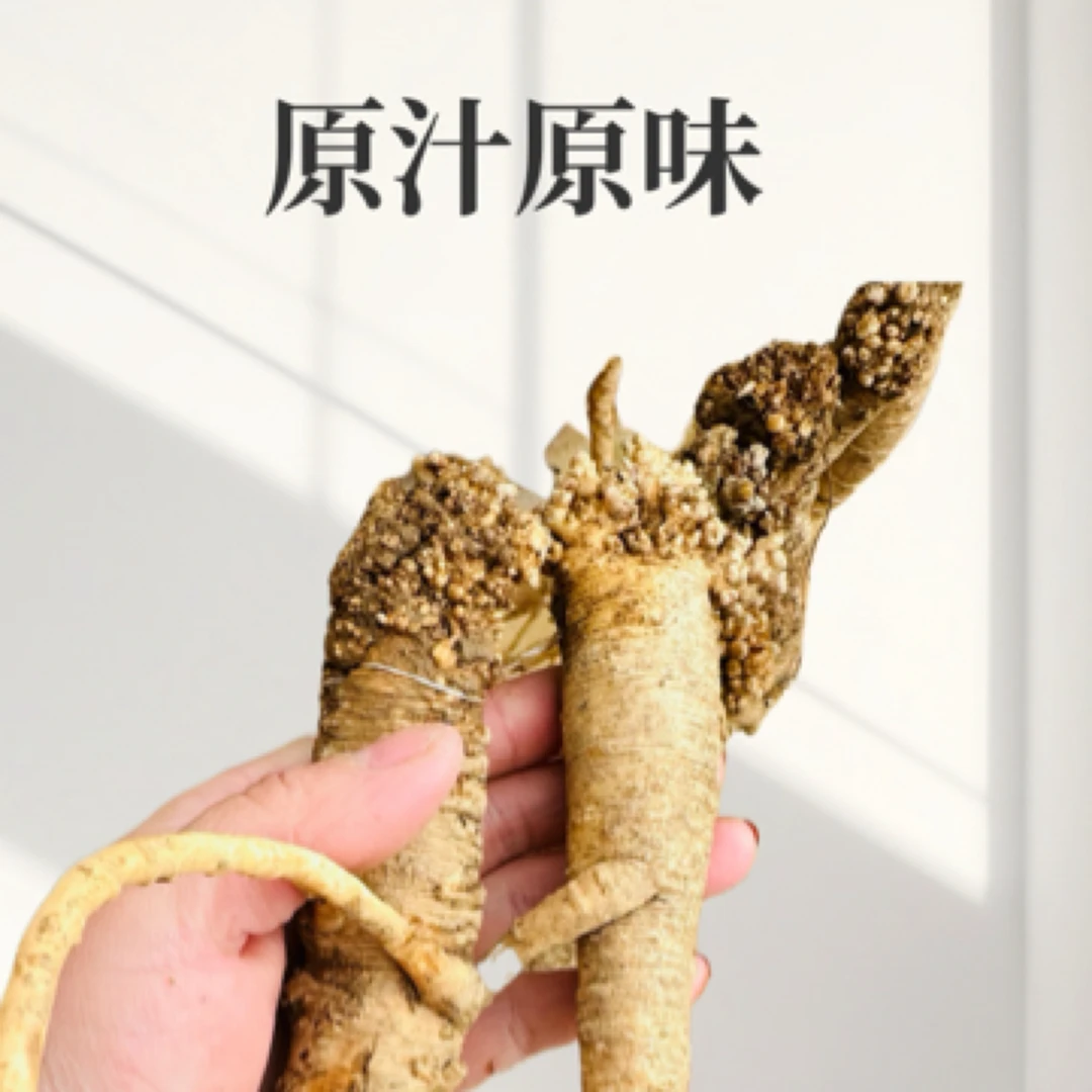 深山新鲜老党参甘肃原产地