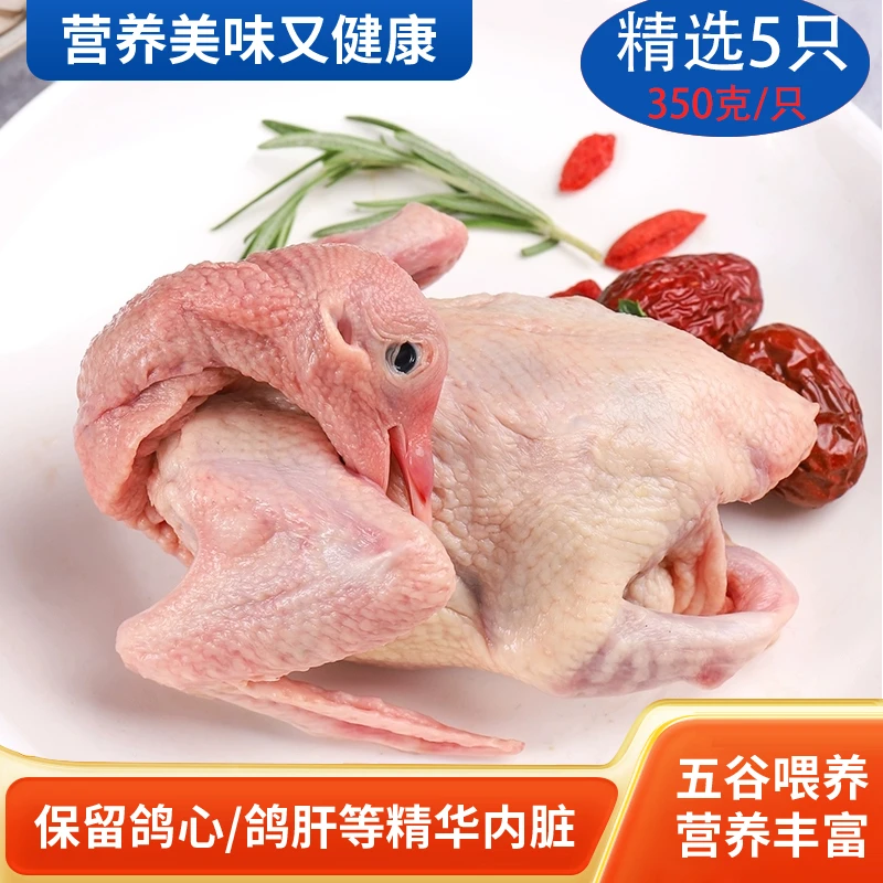 散养鸽子350g/5只五谷原粮喂养现杀发货营养丰富带头脚带内脏新鲜