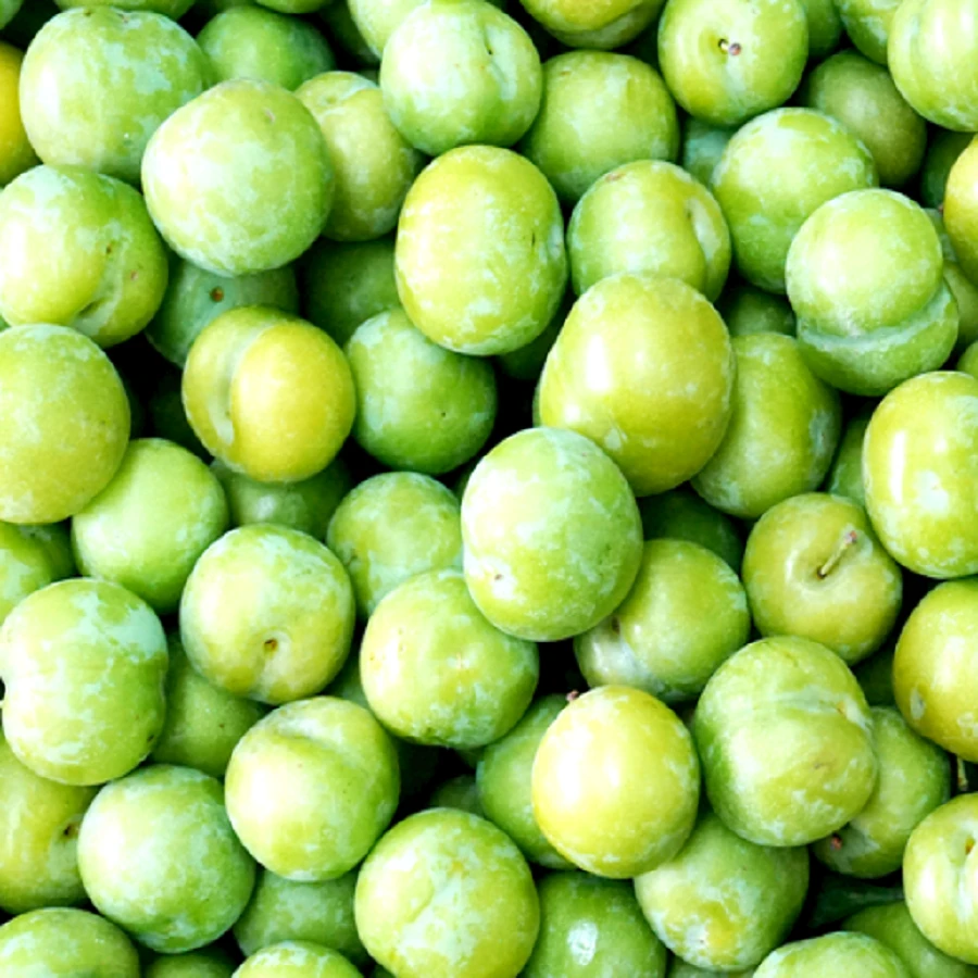 四川高山脆甜脱骨李当季新鲜水果12斤装