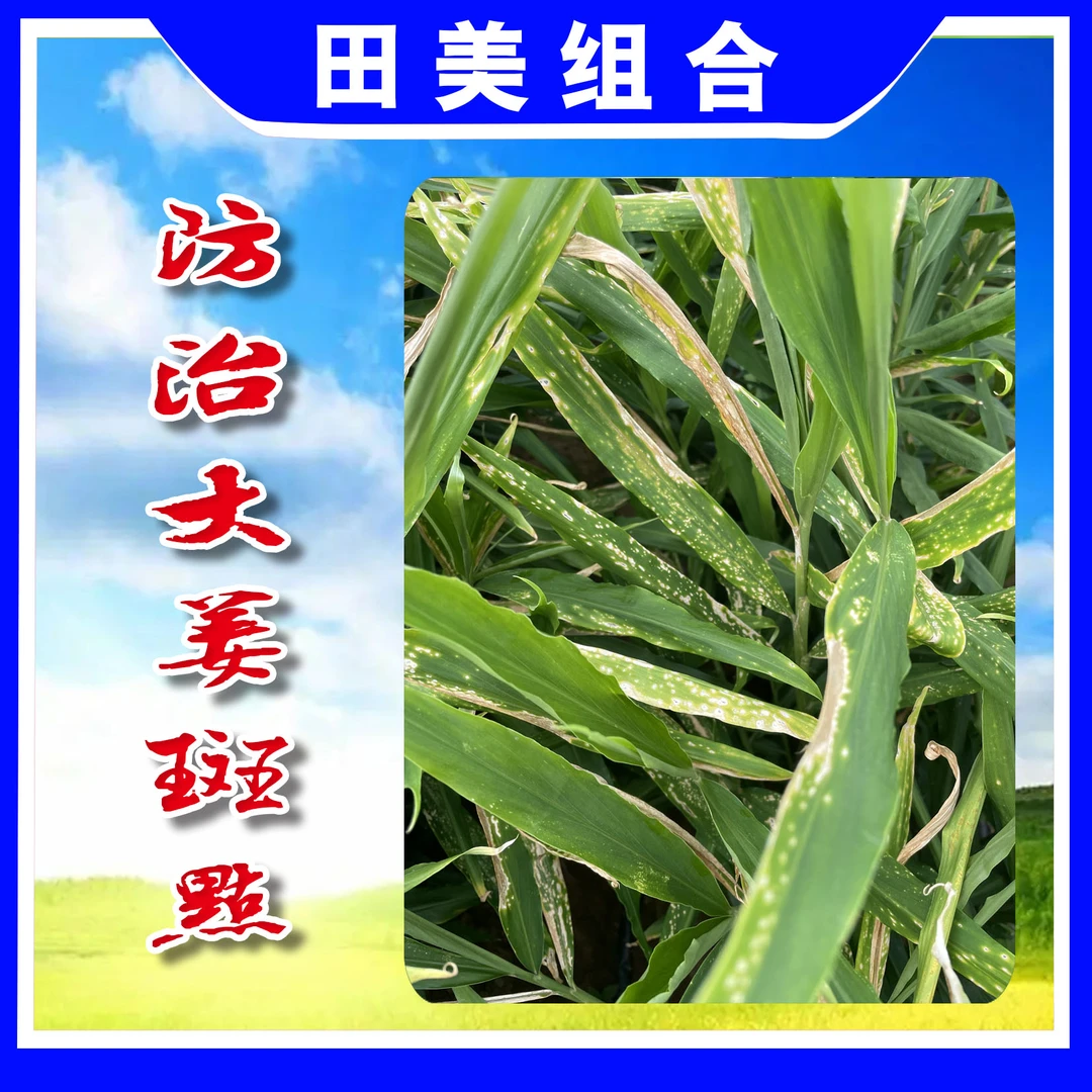 田美组合，叶面喷雾