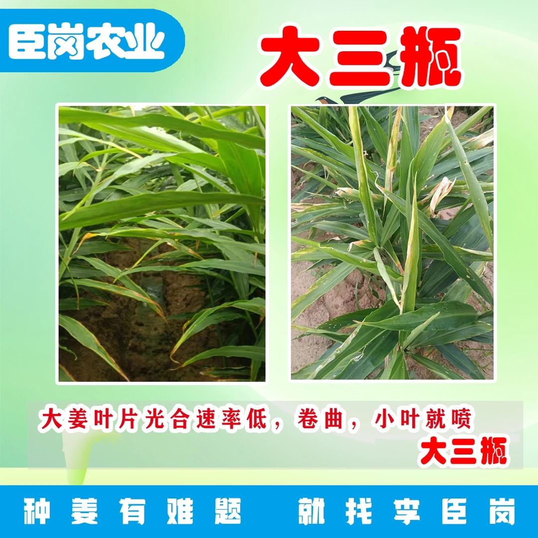 大三瓶，抗逆抗高温日灼。一套33-50桶水,一桶水每样20-30毫升