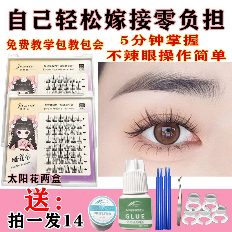 太阳花羽扇自嫁接半永久假睫毛无刺激初学者自然新手分段式眼睫毛