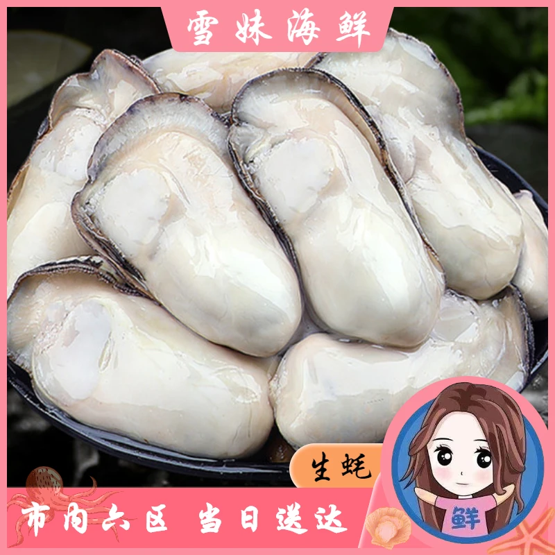 【雪妹精品海鲜】 乳山 生蚝  肉肥 5斤-8斤 天津市内六区当日达