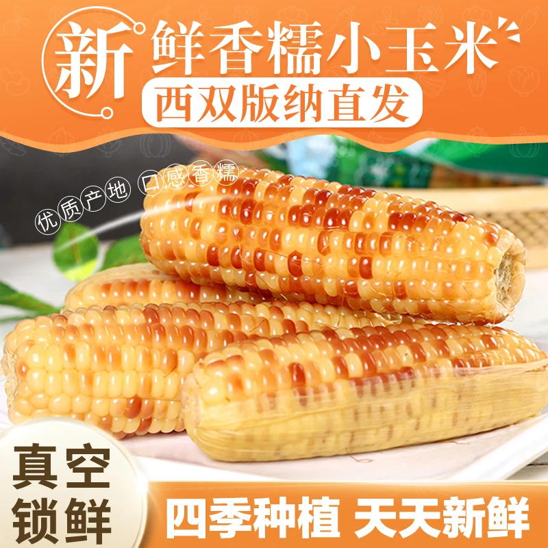 【严选新货】西双版纳花糯玉米代餐开袋即食免煮香糯真空包装饱满