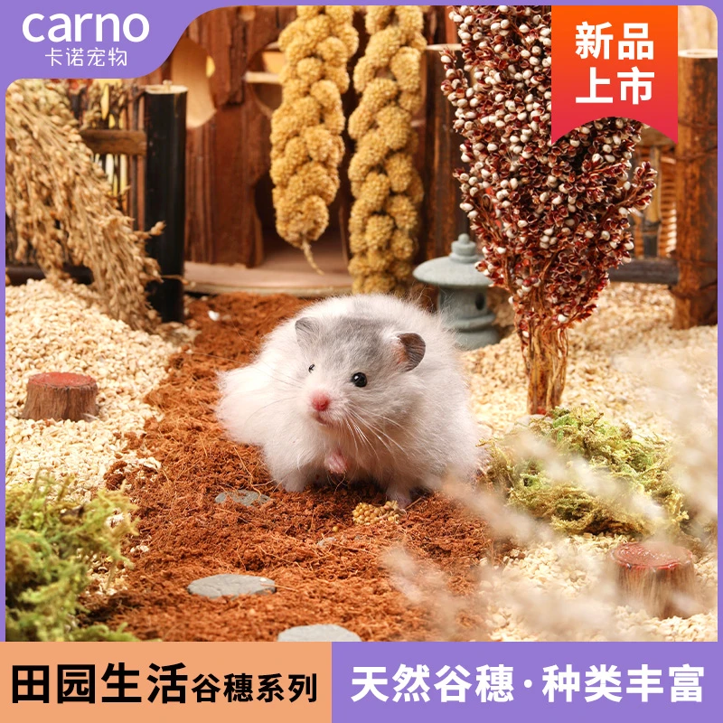 CARNO仓鼠粮主粮磨牙棒田园生活谷穗垫料造景用品金丝熊零食饲料