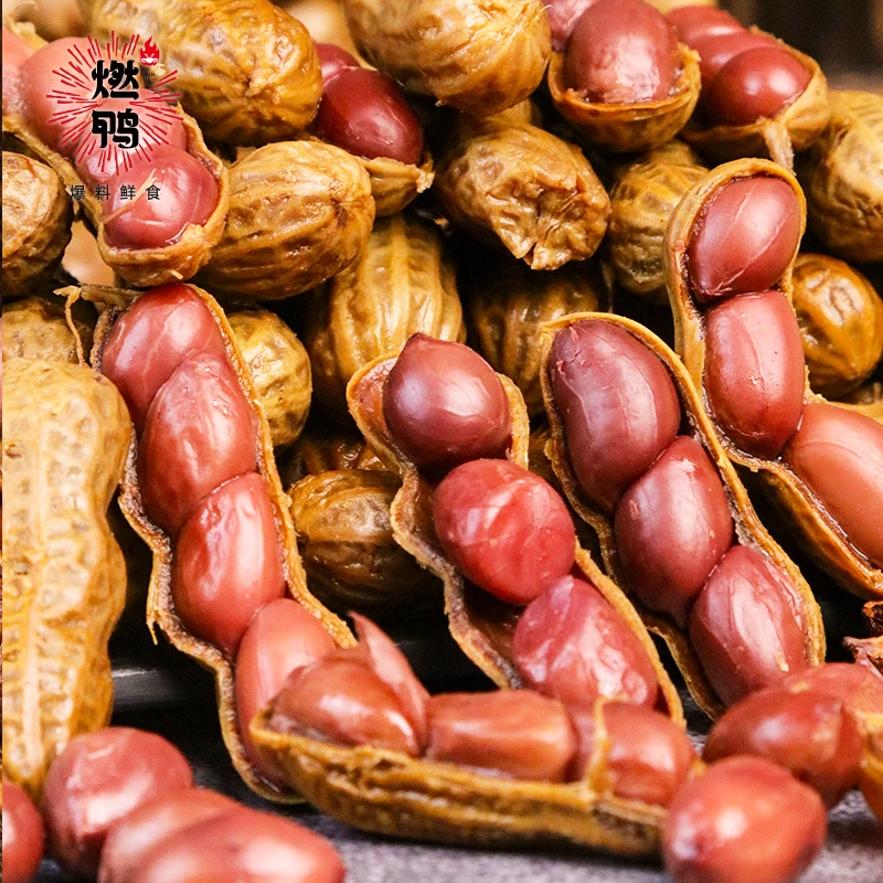 【燃鸭】卤花生 带壳卤煮卤汁花生下酒菜小吃118g