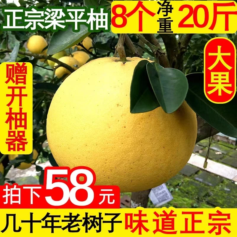 正宗梁平柚重庆特产梁山柚平顶麻柚子白心柚现摘新鲜水果20斤