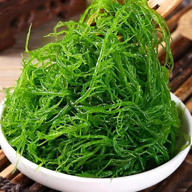 盐渍龙须菜海草500g/袋 新鲜商用凉拌海藻菜石花菜麻辣烫火锅食材