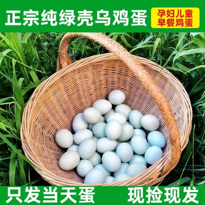 湖北新鲜绿壳乌鸡蛋林下散养土鸡蛋月子宝宝孕妇现捡现发20/40枚