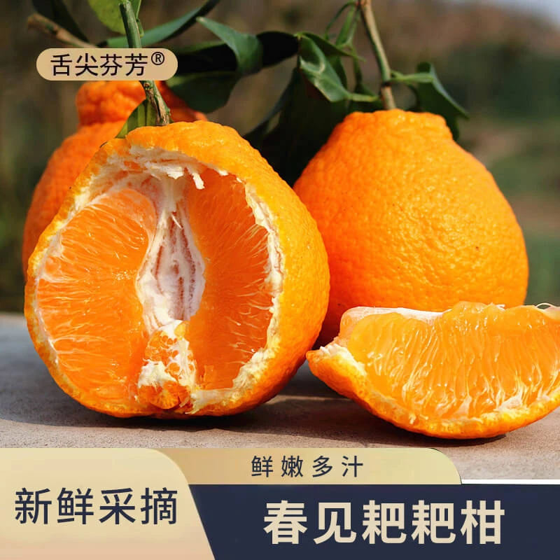 【春见耙耙柑】正宗四川春见耙耙柑爽口爆汁当季新鲜水果产地直发
