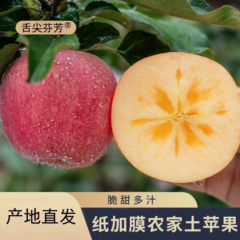 【农家土苹果】高山纸加膜土苹果冰糖心红富士脆甜产地直发