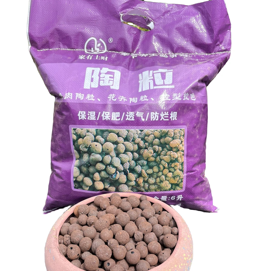 精品陶粒植物精选发货种植售后基地优质干枯优选发根保护使用品质