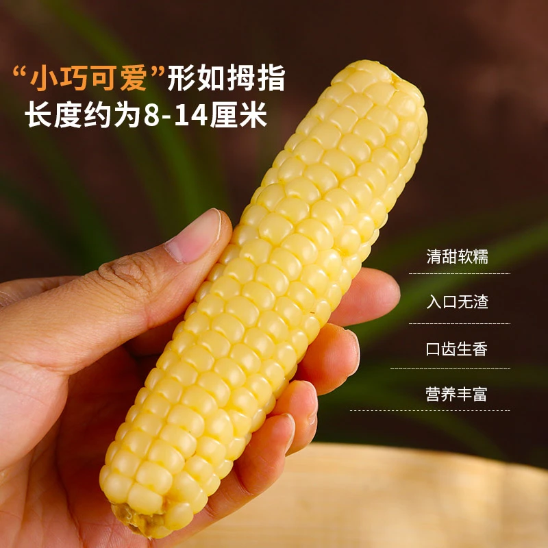【拇指玉米】西双版纳白糯拇指玉米新鲜迷你现摘甜白香糯宝宝孕妇