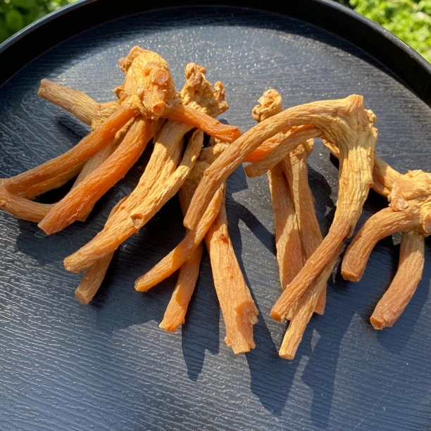 滇藏山货（龙爪参）