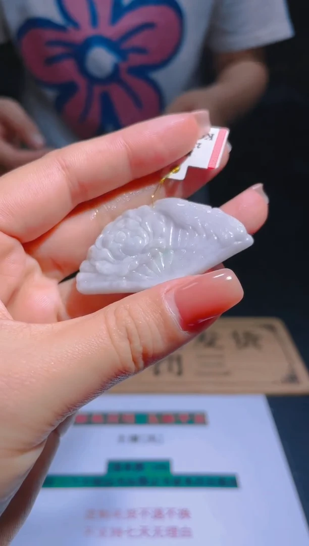 【闪购商品】翡翠颈饰未镶嵌暴力-141212006
