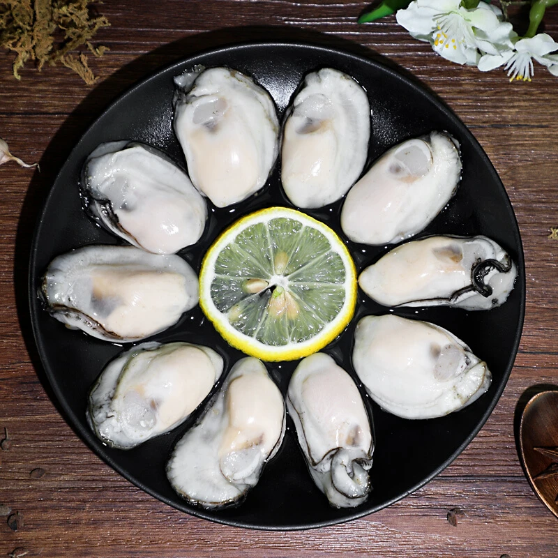 连云港发货  新鲜鲜活生蚝 营养美味 一斤3-4只 到手6斤
