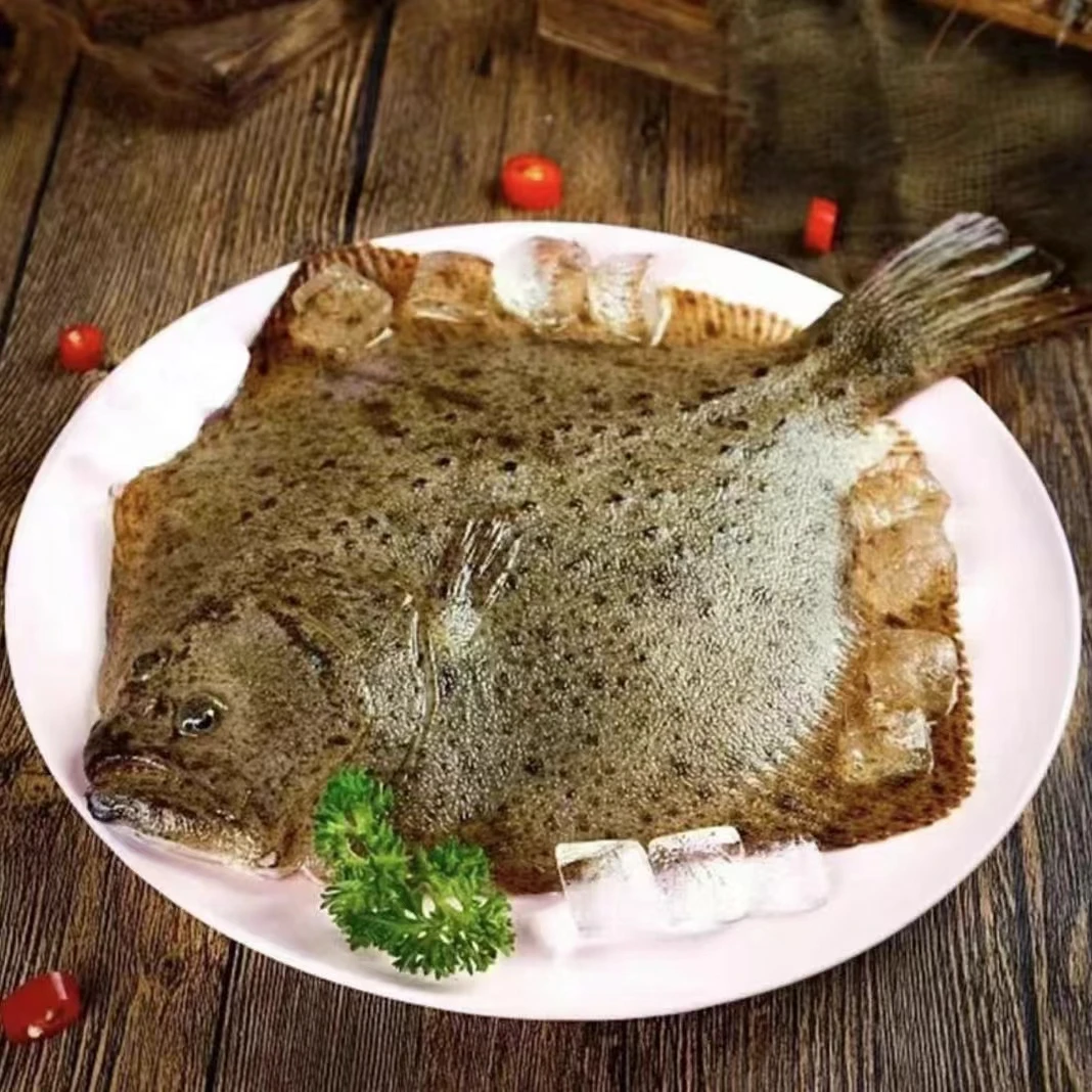 连云港发货 新鲜速冻美味多宝鱼 400g/条*6条 顺丰包邮