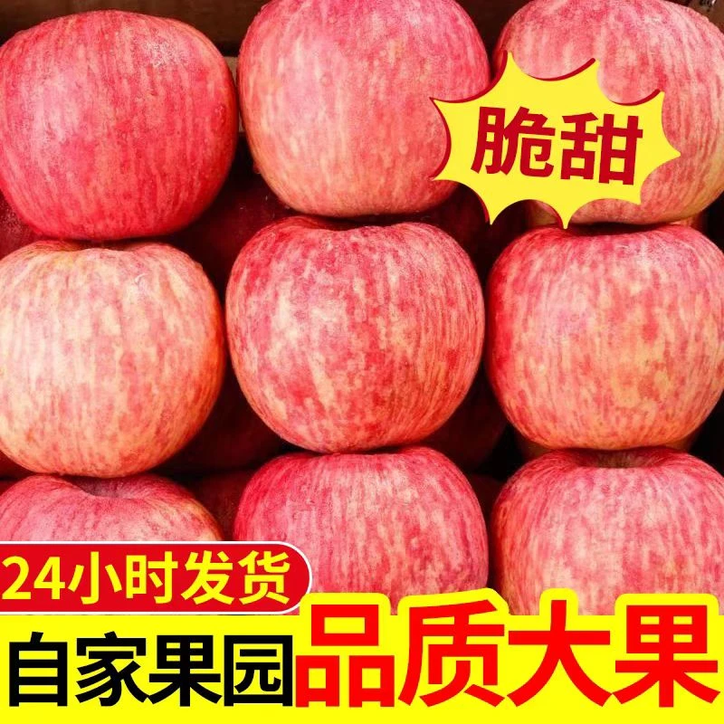 当季新鲜水果红富士苹果个大甘甜整箱批发2024脆甜5斤冰糖心